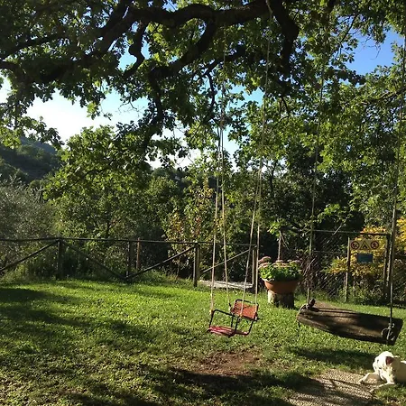 Colleciglio Farm stay