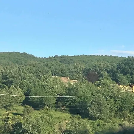 Colleciglio